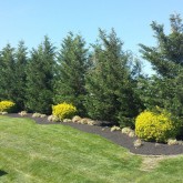 Mulch by Picture Perfect Lawn Maintenance Prince George VA (804) 530-2540