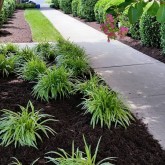 Lawn Care Chesterfield VA | Picture Perfect Lawn Maintenance (804) 530-2540