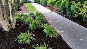 Chesterfield VA Lawn Care & Landscaping Spring Special | Picture Perfect Lawn Maintenance (804) 530-2540