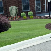 Lawn Care10_1293