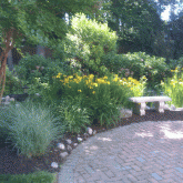 PPLM_Landscape_website8 - Copy