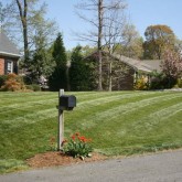 Mowing by Picture Perfect Lawn Maintenance Chesterfield VA (804) 530-2540