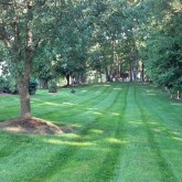 Mowing by Picture Perfect Lawn Maintenance Chesterfield VA (804) 530-2540