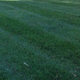 Mowing by Picture Perfect Lawn Maintenance Chesterfield VA (804) 530-2540