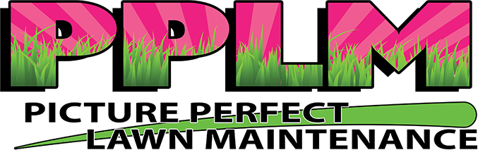 PPLM Logo