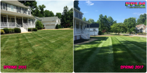 Picture Perfect Lawn Maintenance | 804-530-2540 | Before and After | fertilizer and mowing Chesterfield VA