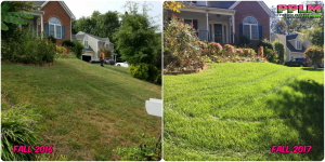Picture Perfect Lawn Maintenance | 804-530-2540 | Before and After | best fertilization aeration seeding Moseley VA