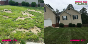 Picture Perfect Lawn Maintenance | 804-530-2540 | Before and After | corrective fertilizing high quality aeration seeding Richmond VA