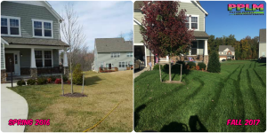 Picture Perfect Lawn Maintenance | 804-530-2540 | Before and After | professional fertilization aeration seeding difference Midlothian VA
