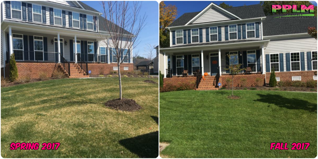 Birkdale Lawn Care Fertilization Weed Control​ | Picture Perfect Lawn Maintenance | (804) 530-2540