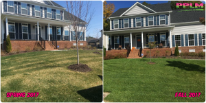 Picture Perfect Lawn Maintenance | 804-530-2540 | Before and After | healthy lawn professional fertilizing Moseley VA