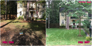Picture Perfect Lawn Maintenance | 804-530-2540 | Before and After | one year difference seeding custom fertilization best service Midlothian VA