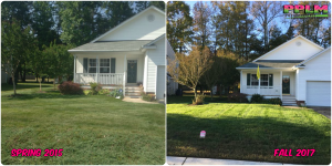Picture Perfect Lawn Maintenance | 804-530-2540 | Before and After | healthy lawn fertilizer aerating seed service Colonial Heights VA