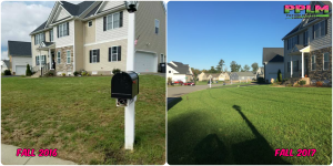 Picture Perfect Lawn Maintenance | 804-530-2540 | Before and After | healthy thick turf professional difference fertilizer Moseley VA