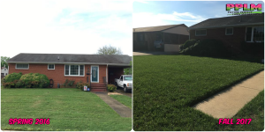 Picture Perfect Lawn Maintenance | 804-530-2540 | Before and After | high quality fertilization sustainable turf Chester VA