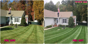 Picture Perfect Lawn Maintenance | 804-530-2540 | full service landscape care difference fertilizing mowing mulching pruning Chesterfield VA