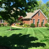 Picture Perfect Lawn Maintenance | (804) 530-2540 | full service lawn care fertilizer mowing near me in Midlothian Virginia