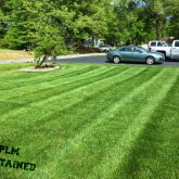 Picture Perfect Lawn Maintenance | 804-530-2540 | high quality grass cutting fertilizing organic Colonial Heights VA