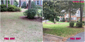 Picture Perfect Lawn Maintenance | 804-530-2540 | improved lawn quality aeration seeding one year difference Midlothian VA