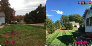 Picture Perfect Lawn Maintenance | 804-530-2540 | best lawn care company fertilizer mowing seeding Richmond VA