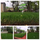 Picture Perfect Lawn Maintenance | 804-530-2540 | best Richmond VA fertilizer company organic
