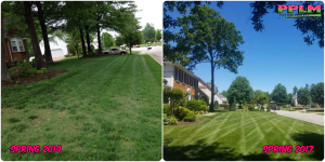 Picture Perfect Lawn Maintenance | 804-530-2540 | lawn improvement high quality fertilizer professional mowing Chesterfield VA