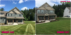 Picture Perfect Lawn Maintenance | 804-530-2540 | best Virginia fertilization service lawn care Moseley VA