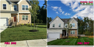 Picture Perfect Lawn Maintenance | 804-530-2540 | professional yard service fertilization mow prune Chesterfield VA