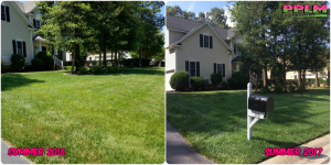 Picture Perfect Lawn Maintenance | 804-530-2540 | green healthy lawn aeration seeding fertilizer Richmond VA