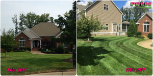 Picture Perfect Lawn Maintenance | 804-530-2540 | good looking lawn professional mowing Chesterfield VA