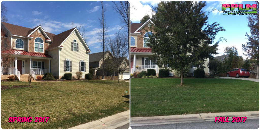 Birkdale Lawn Care Fertilization Weed Control​ by Picture Perfect Lawn Maintenance | (804) 530-2540