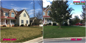 Picture Perfect Lawn Maintenance | 804-530-2540 | organic fertilization lawn care Chesterfield VA
