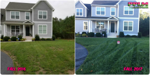 Picture Perfect Lawn Maintenance | 804-530-2540 | best fertilization aeration seeding service Chesterfield VA