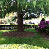 Picture Perfect Lawn Maintenance | 804-530-2540 | quality full service landscape care mowing pruning mulching fertilizer Virginia Beach