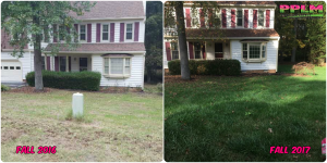 Picture Perfect Lawn Maintenance | 804-530-2540 | Before and After | professional difference seeding fertilizing company Chesterfield VA