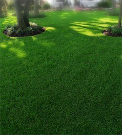 Summerford Lawn Aeration Seeding Fertilization by Picture Perfect Lawn Maintenance | (804) 530-2540