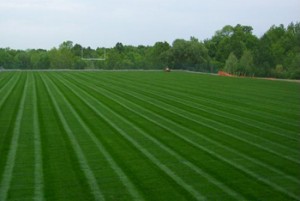 Lawn Fertilization