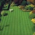 Chesterfield VA Lawn Care Weed Control