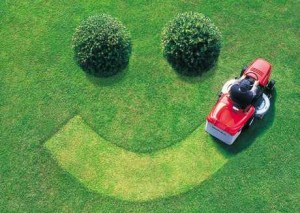 Fox Creek Lawn Aeration Seeding Fertilization | Picture Perfect Lawn Maintenance | (804) 530-2540