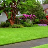 Chesterfield VA Landscaping | Picture Perfect Lawn Maintenance | (804) 530-2540 