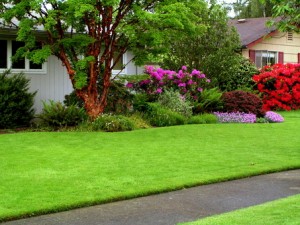 Magnolia Green Lawn Aeration Seeding Fertilization by Picture Perfect Lawn Maintenance (804) 530-2540 Magnolia Green Lawn Aeration Seeding Fertilization by Picture Perfect Lawn Maintenance (804) 530-2540