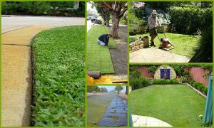 Chesterfield Lawn Maintenance | Picture Perfect Lawn Maintenance | (804) 530-2540 