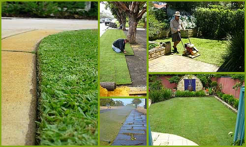 Chesterfield VA Lawn Care Fertilization | Picture Perfect Lawn Maintenance | Colonial Heights, VA 23834 | (804) 530-2540