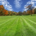 Chesterfield VA Lawn Care | Picture Perfect Lawn Maintenance