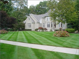 Chesterfield VA Lawn Care Special| Picture Perfect Lawn Maintenance (804) 530-2540