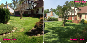 Picture Perfect Lawn Maintenance | 804-530-2540 | Before and After | best fertilizing company mowing service Colonial Heights VA