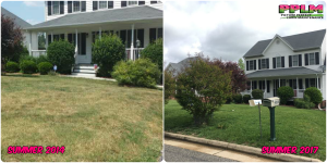 Lawn Care Aeration Seeding Fertilization Moseley VA | Picture Perfect Lawn Maintenance | (804) 530-2540