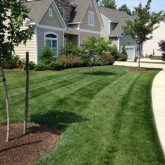 Mowing Fertilizer and Mulching by Picture Perfect Lawn Maintenance Chesterfield VA (804) 530-2540