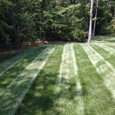Mowing by Picture Perfect Lawn Maintenance Chesterfield VA (804) 530-2540