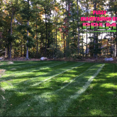 Picture Perfect Lawn Maintenance | 804-530-2540 | personalized lawn care full service fertilizer mowing Moseley VA